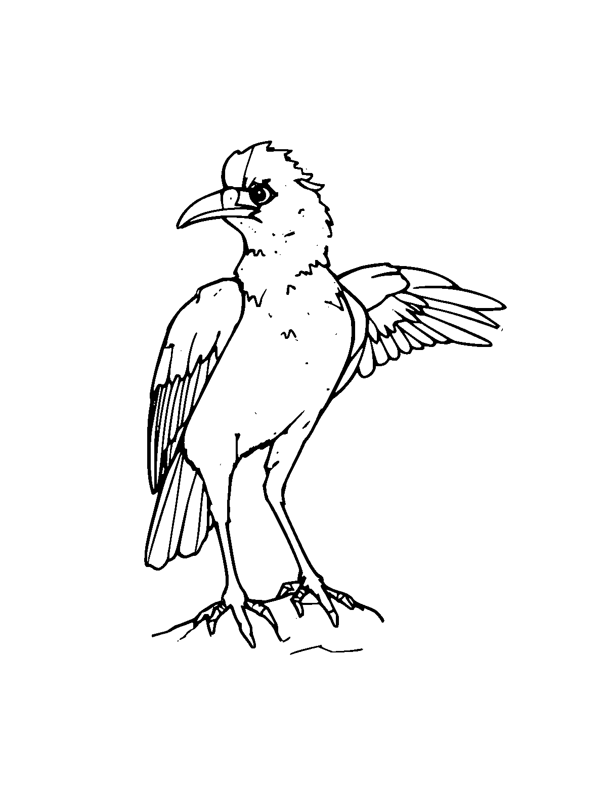 Line-art coloring page of Anzu the Storm Bird, medium outlines, centered