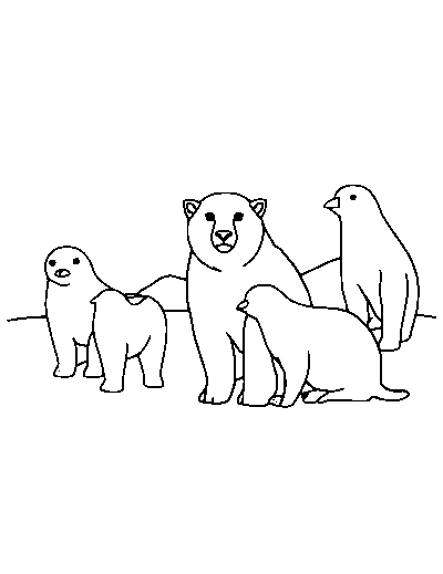 Arctic Animals