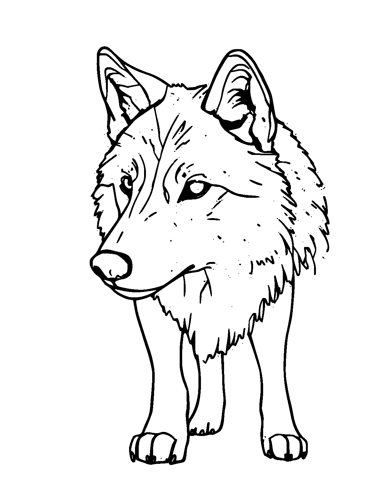 Line-art coloring page of Arctic Wolf, medium outlines, centered