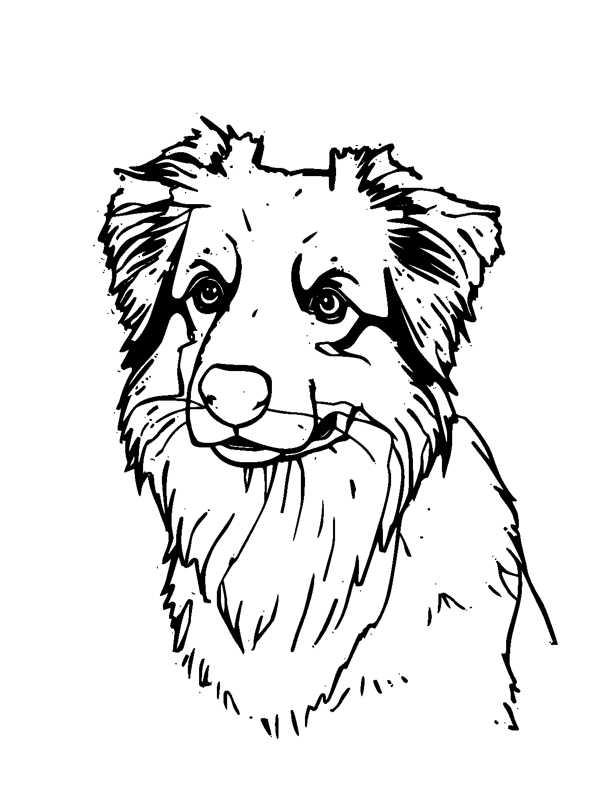 Line-art coloring page of Australian Shepherd, medium outlines, centered