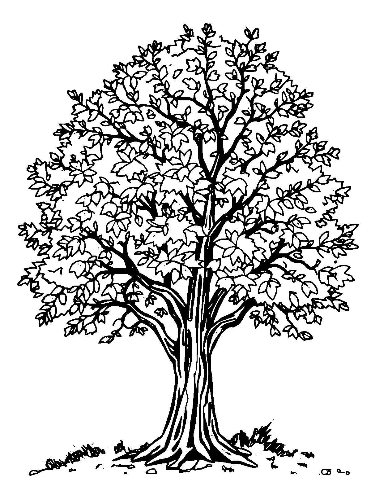 Line-art coloring page of Autumn Tree, medium outlines, centered