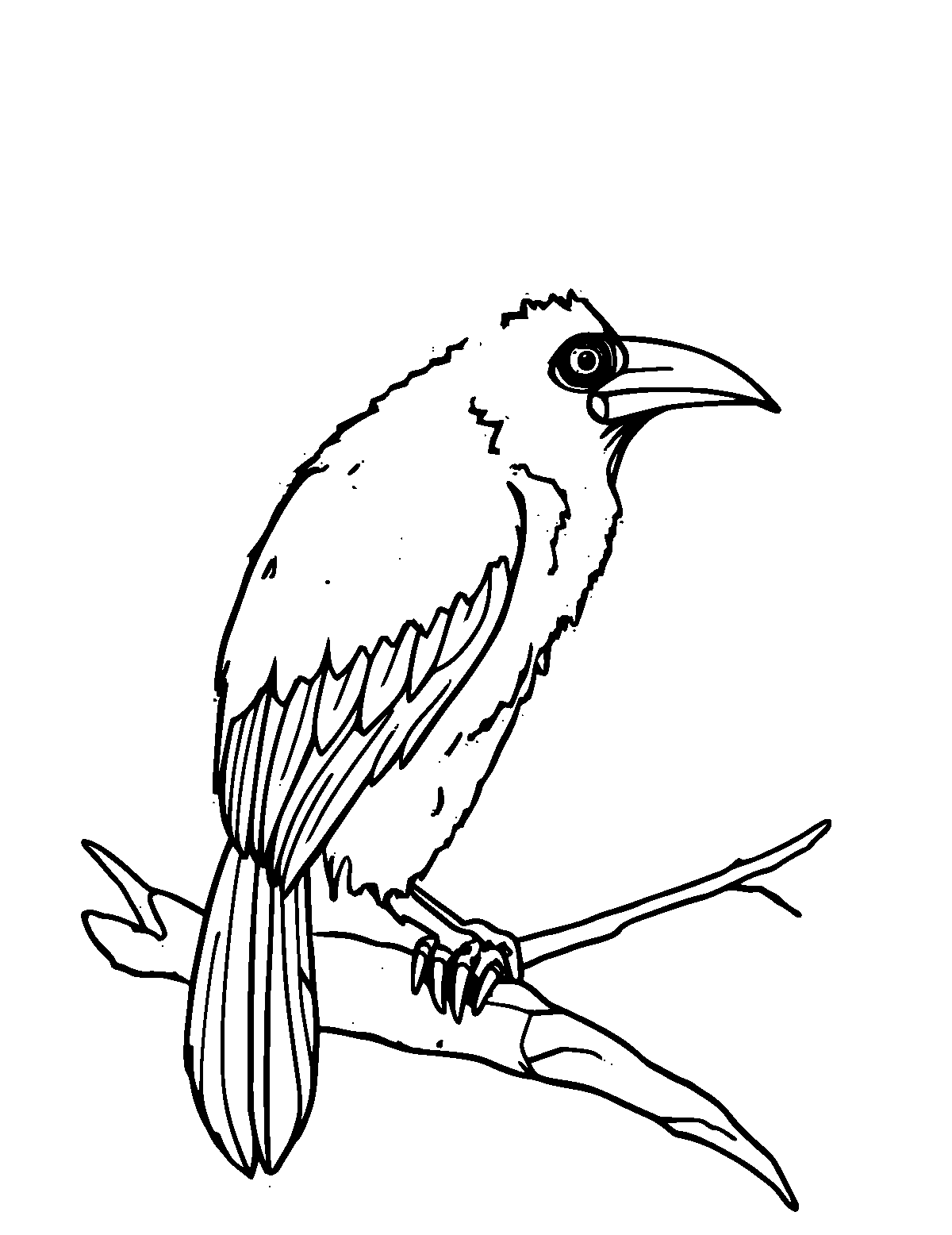 Line-art coloring page of Aye-Aye, medium outlines, centered