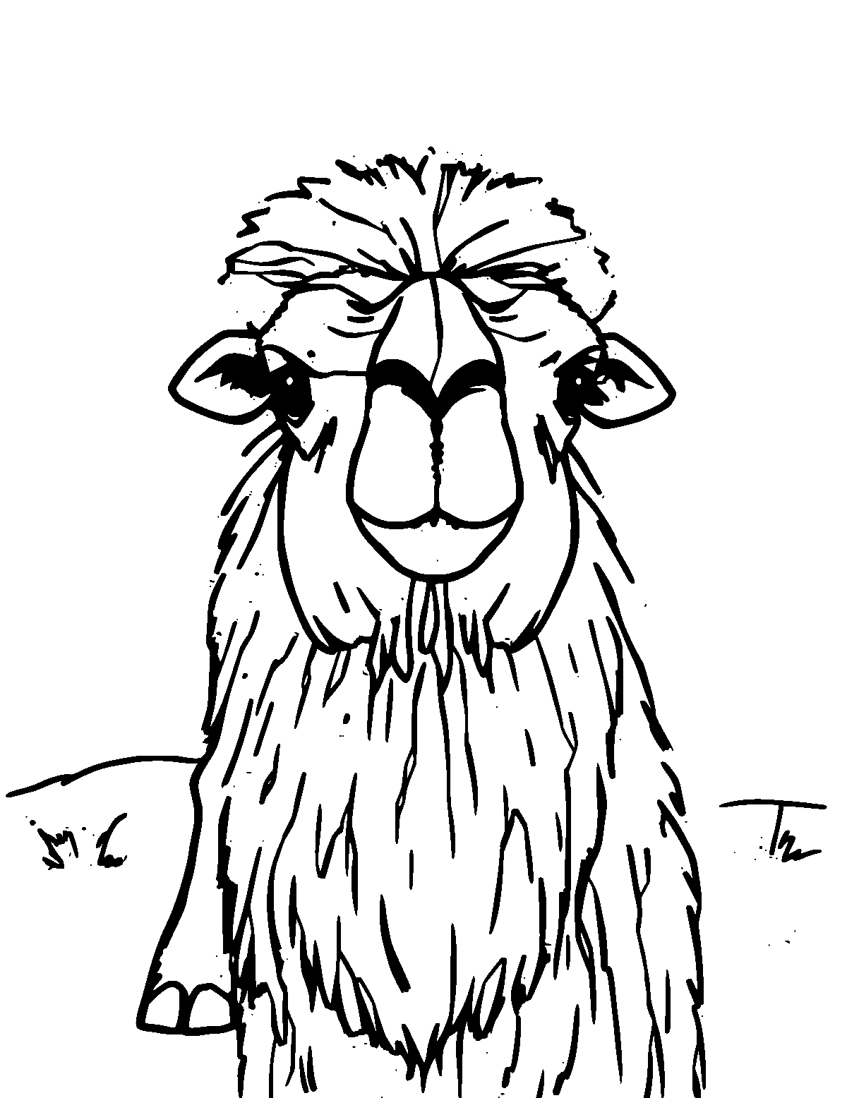 Line-art coloring page of Bactrian Camel, medium outlines, centered