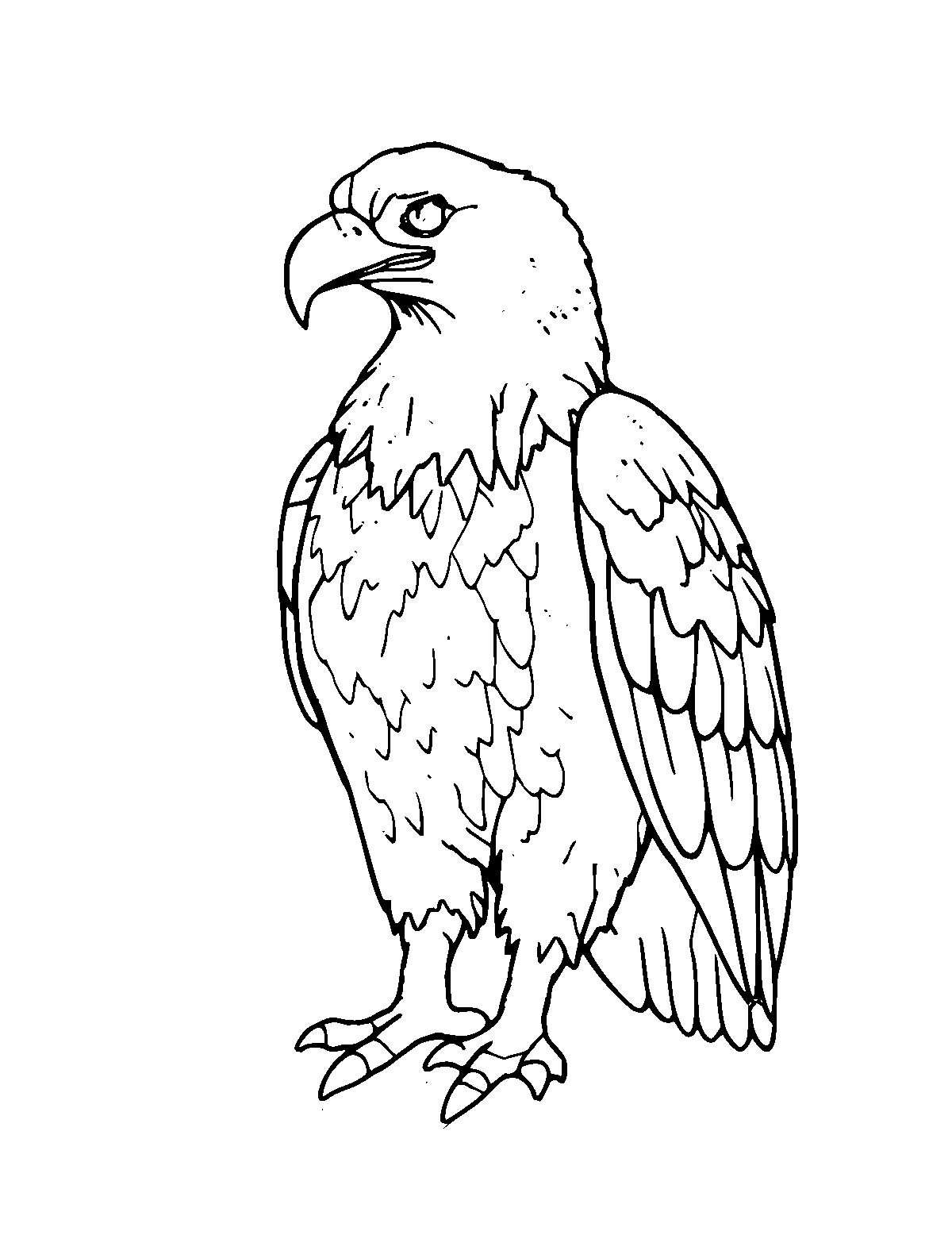 Line-art coloring page of Bald Eagle, medium outlines, centered