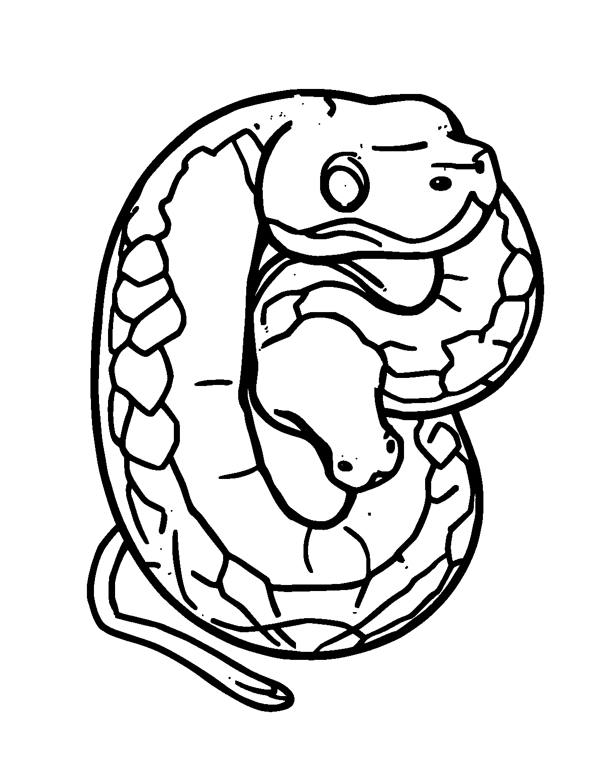 Line-art coloring page of Ball Python, thick outlines, centered