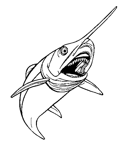 Barracuda