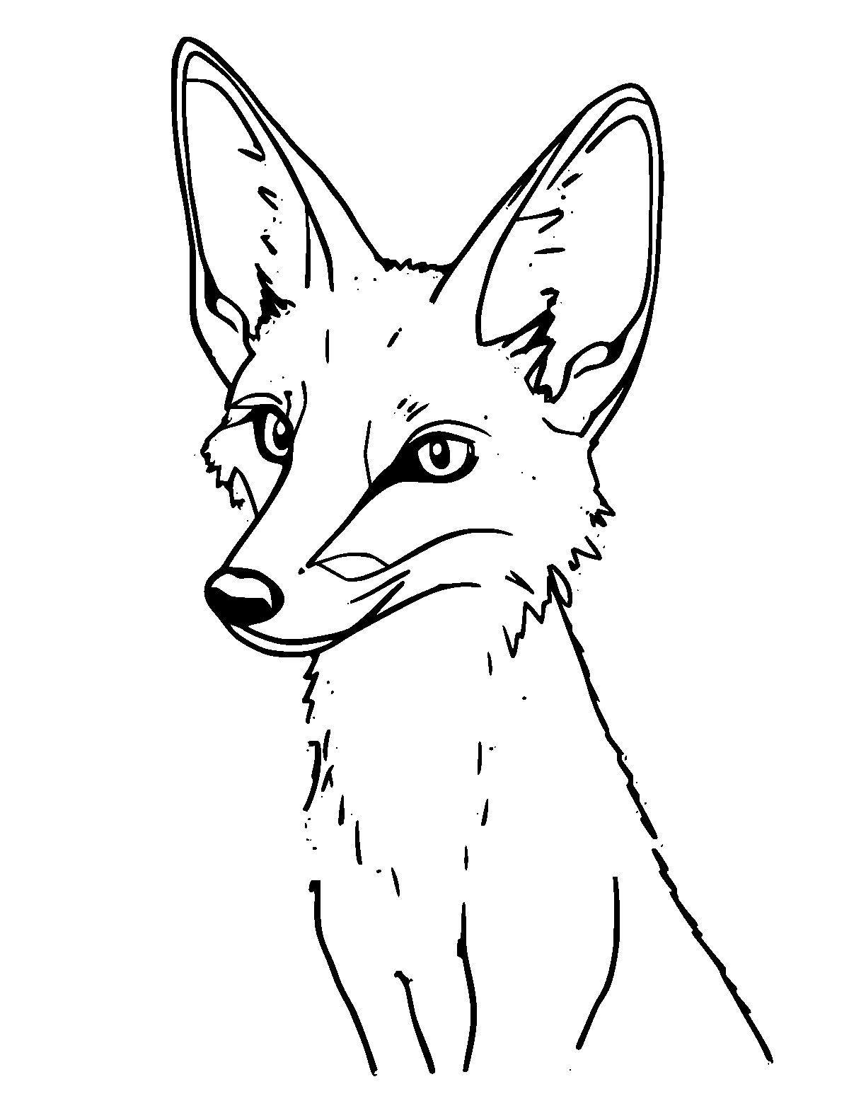 Line-art coloring page of Bat-Eared Fox, medium outlines, centered