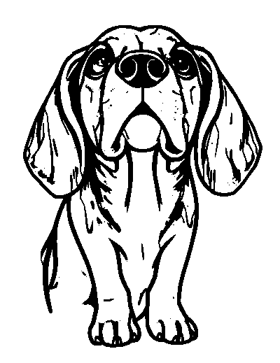 Beagle