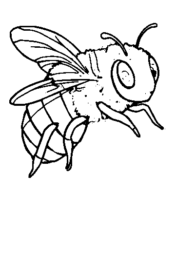 Bee