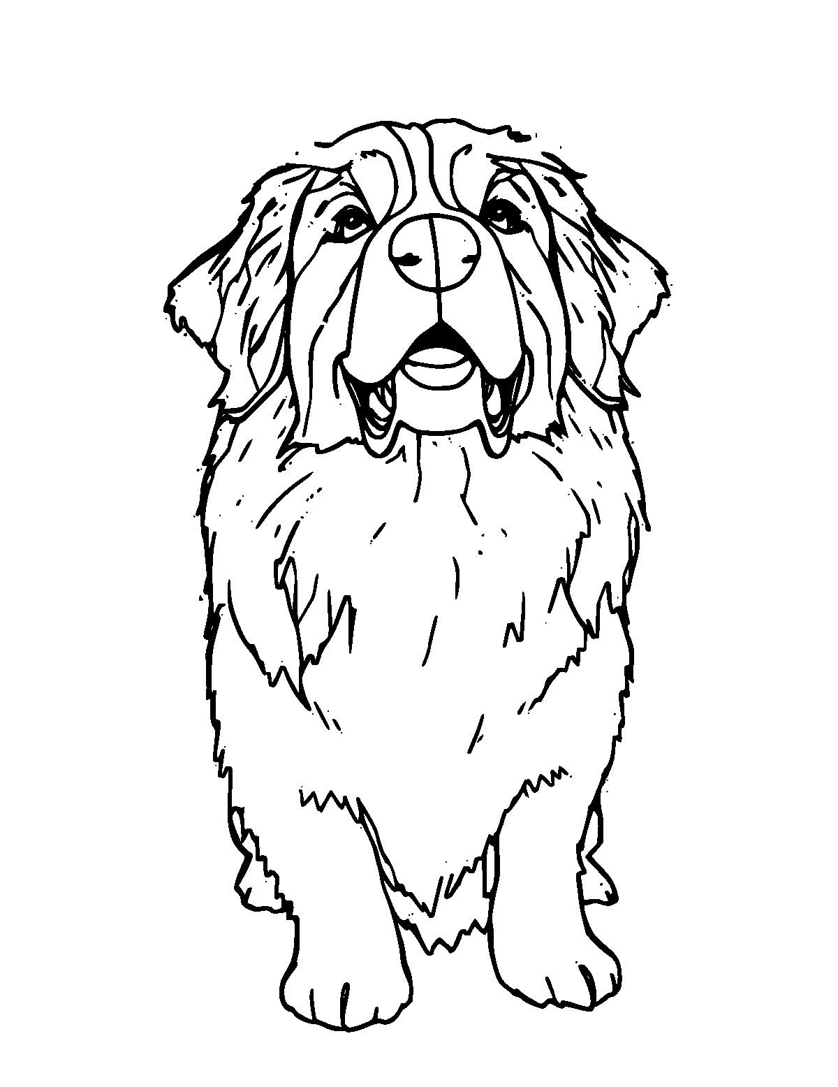 Line-art coloring page of Bernese Mountain Dog, medium outlines, centered
