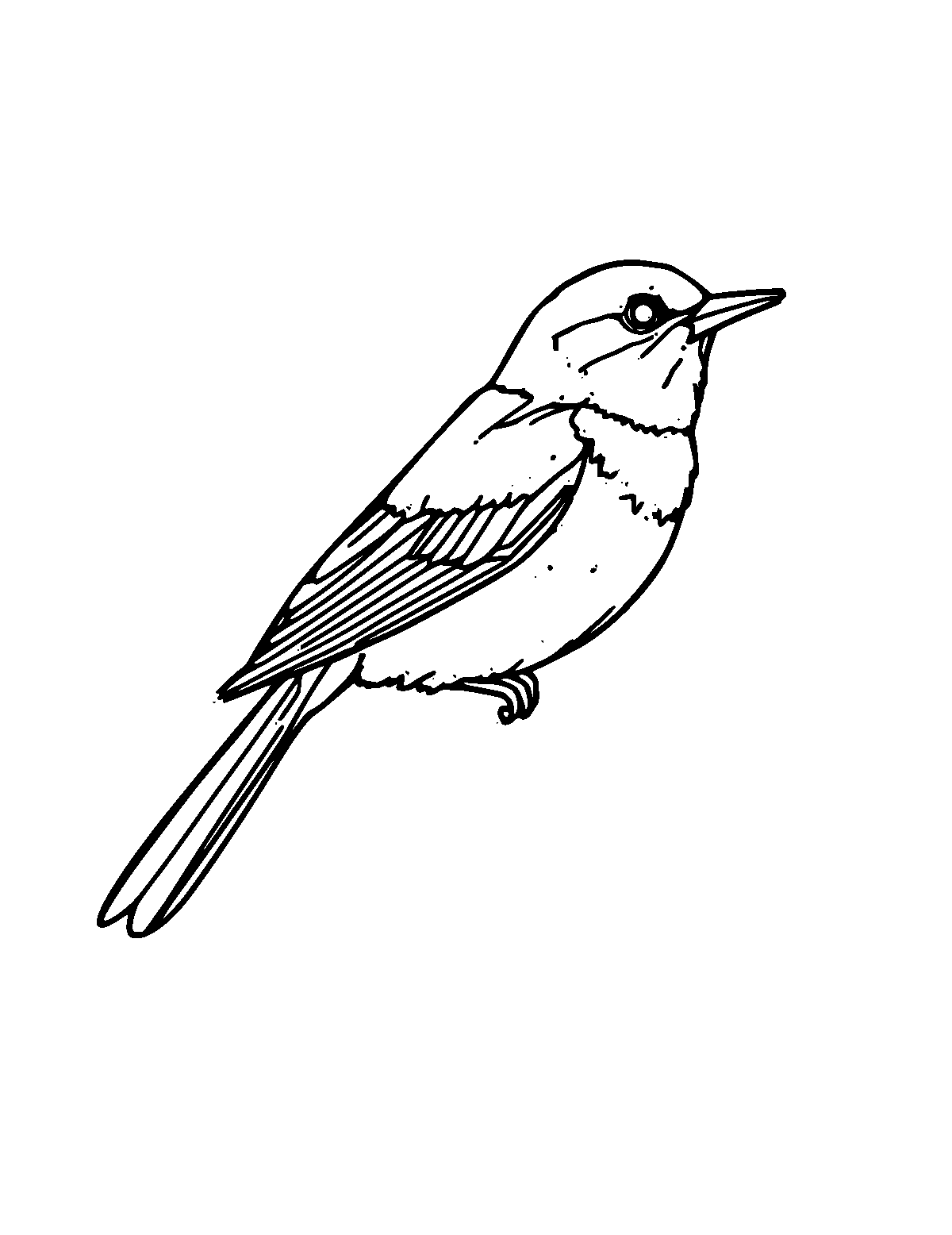 Line-art coloring page of Bird, medium outlines, centered