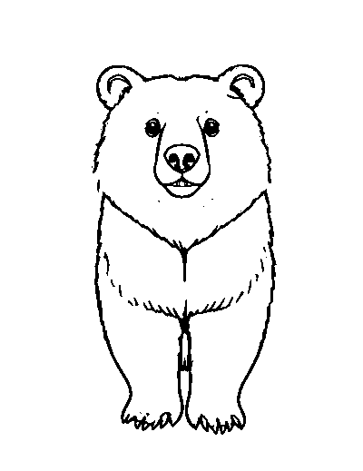 Black Bear