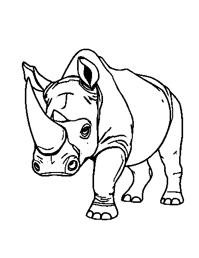 Black Rhinoceros