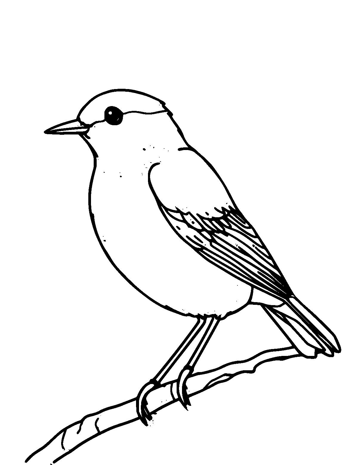 Line-art coloring page of Bluebird, medium outlines, centered