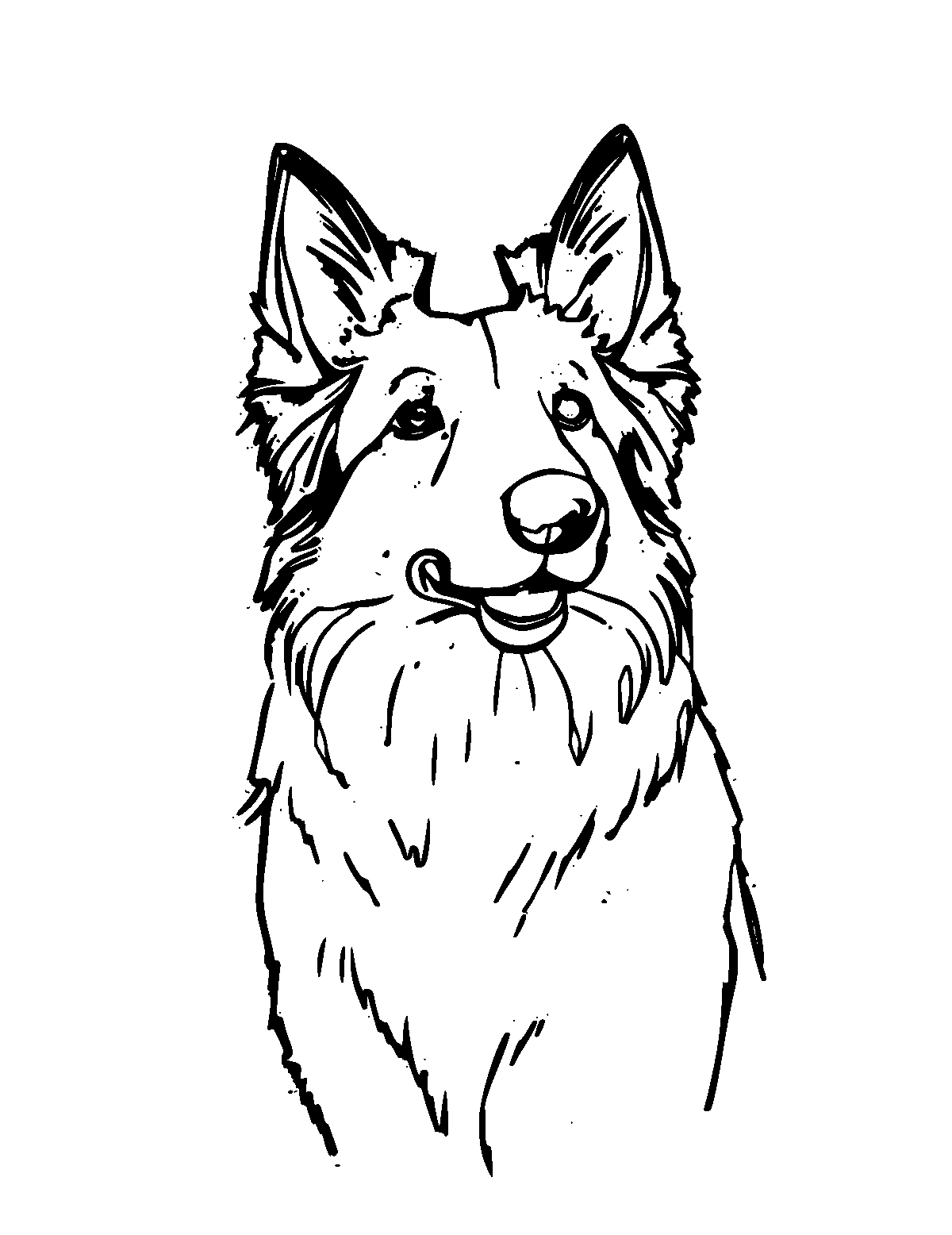 Line-art coloring page of Border Collie, medium outlines, centered