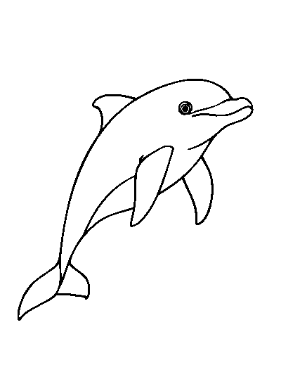 Bottlenose Dolphin