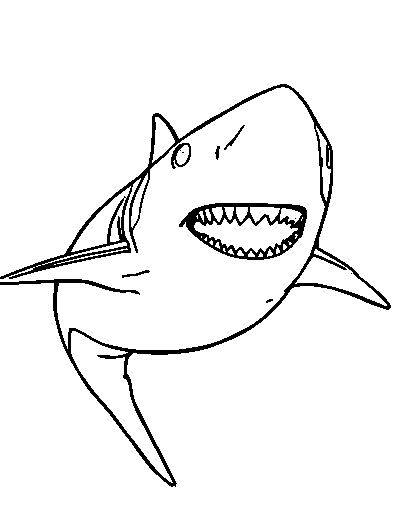 Bull Shark