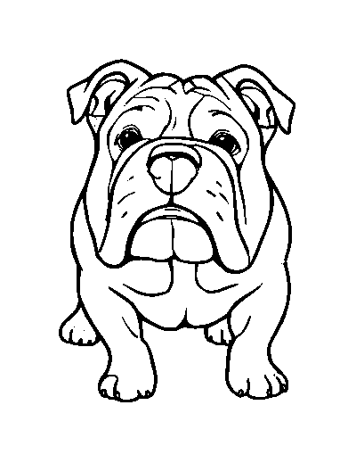 Bulldog