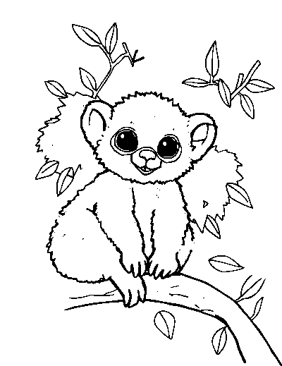Bush Baby