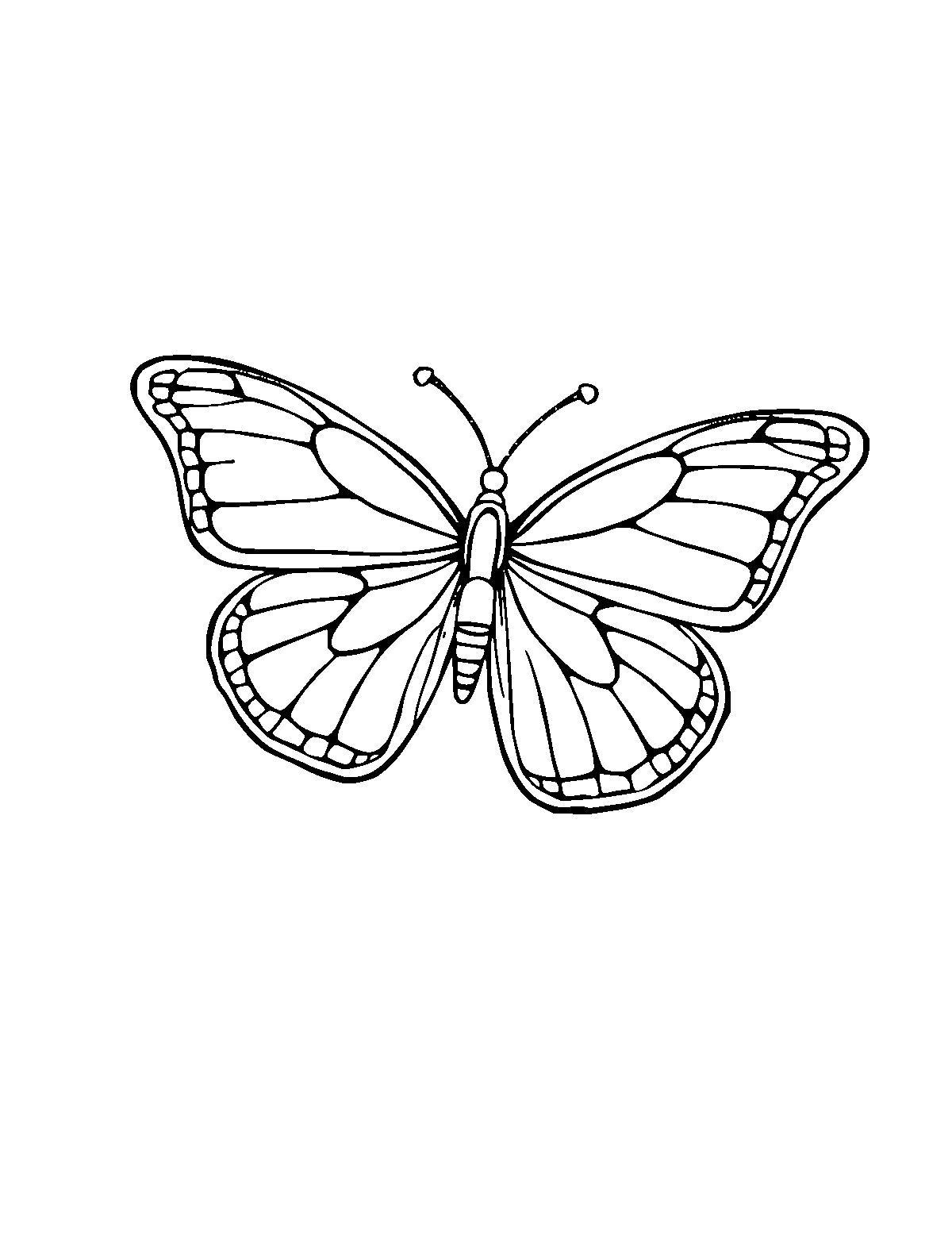 Line-art coloring page of Butterfly, medium outlines, centered