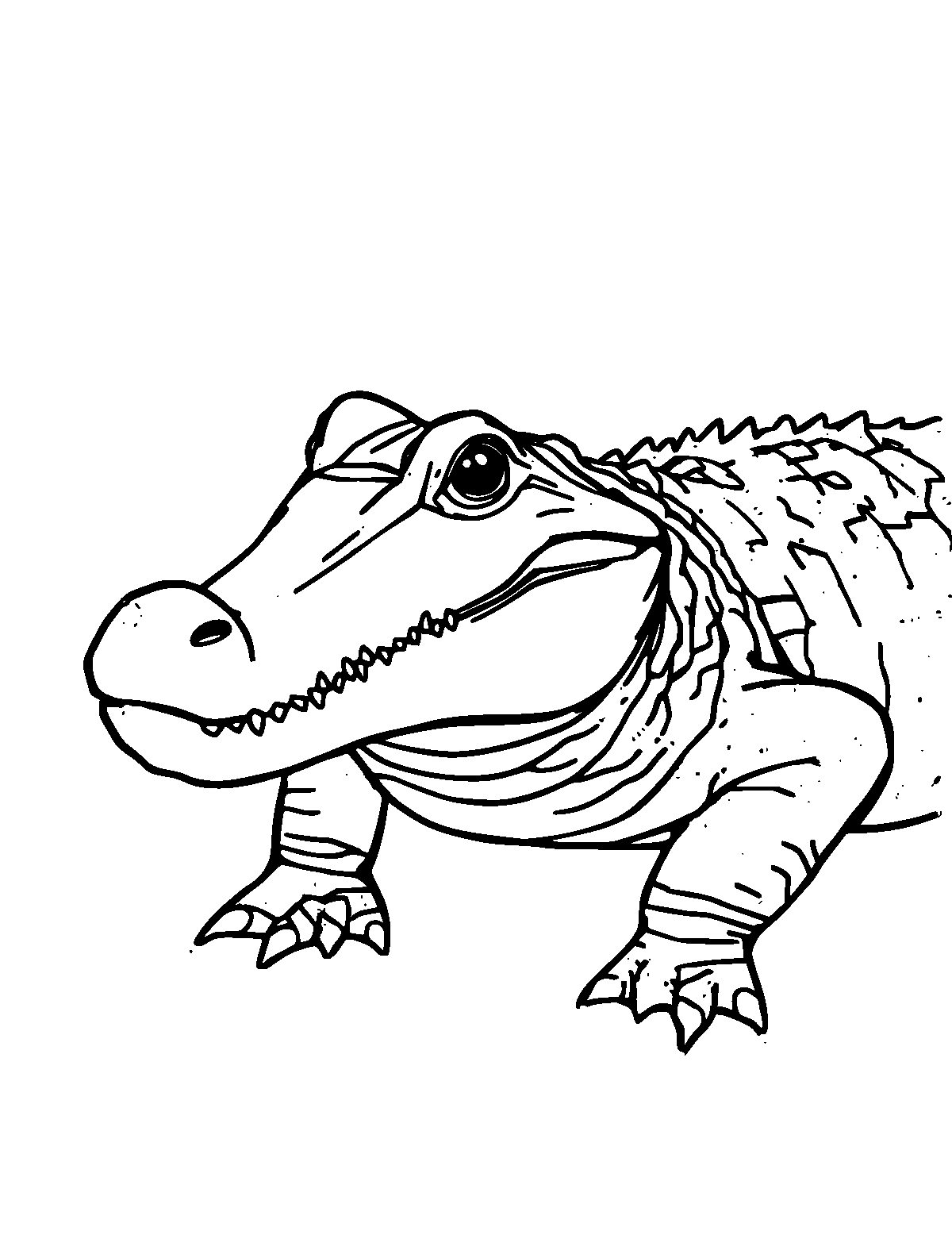 Line-art coloring page of Caiman, medium outlines, centered