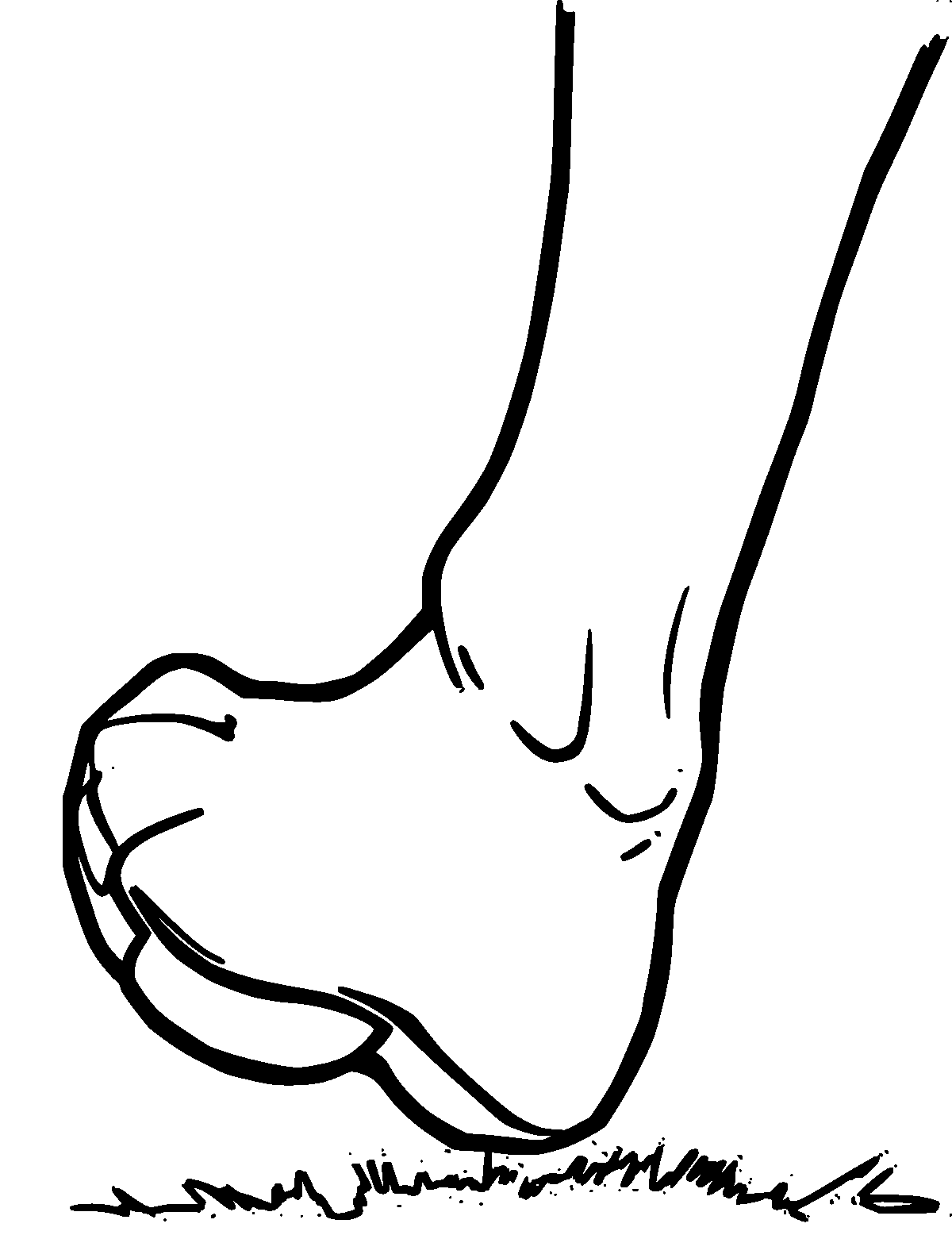 Line-art coloring page of Calf, thick outlines, centered