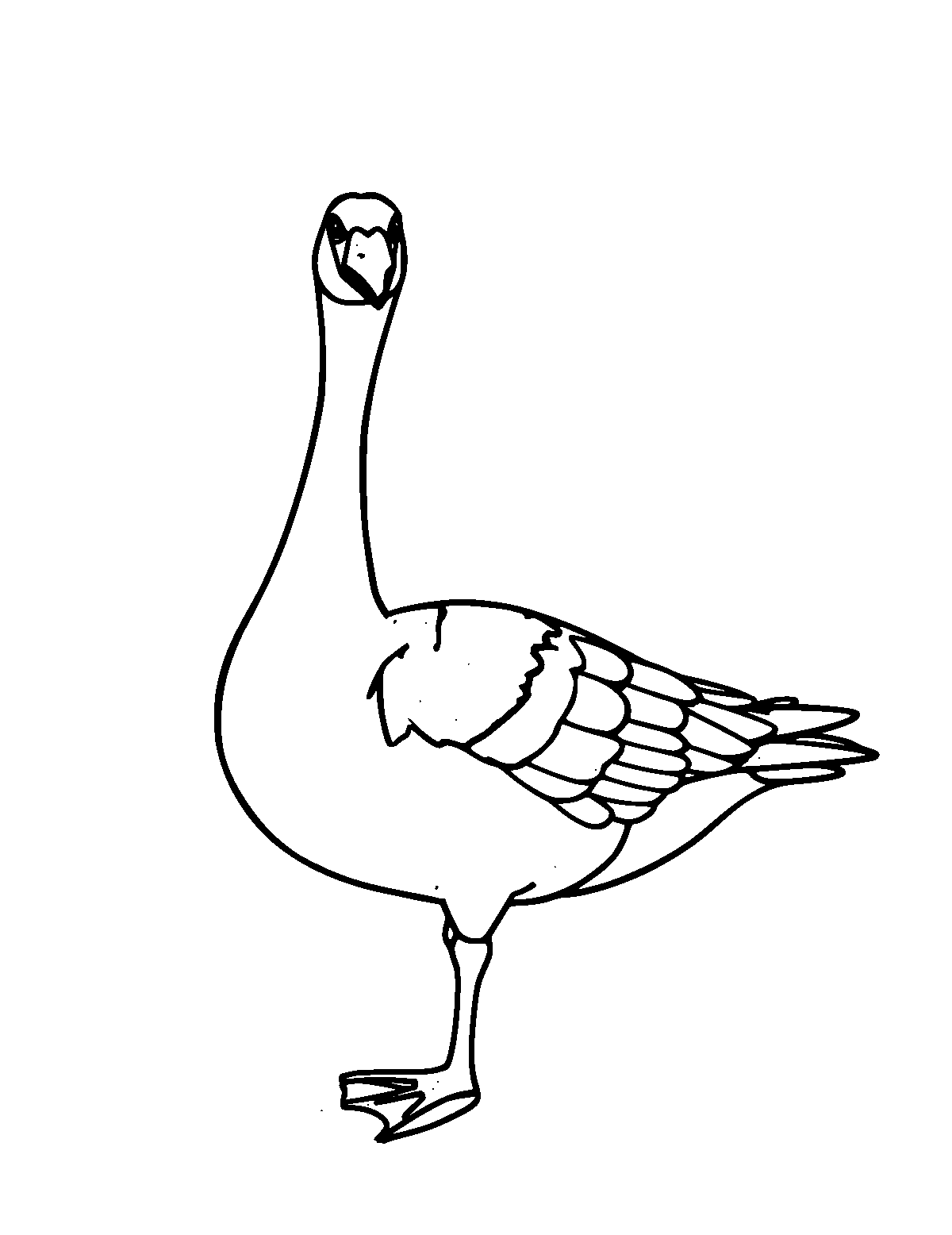Line-art coloring page of Canada Goose, medium outlines, centered