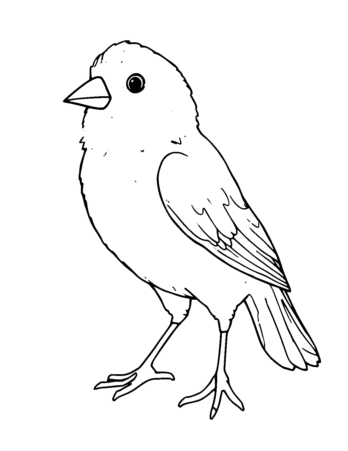 Line-art coloring page of Canary, medium outlines, centered