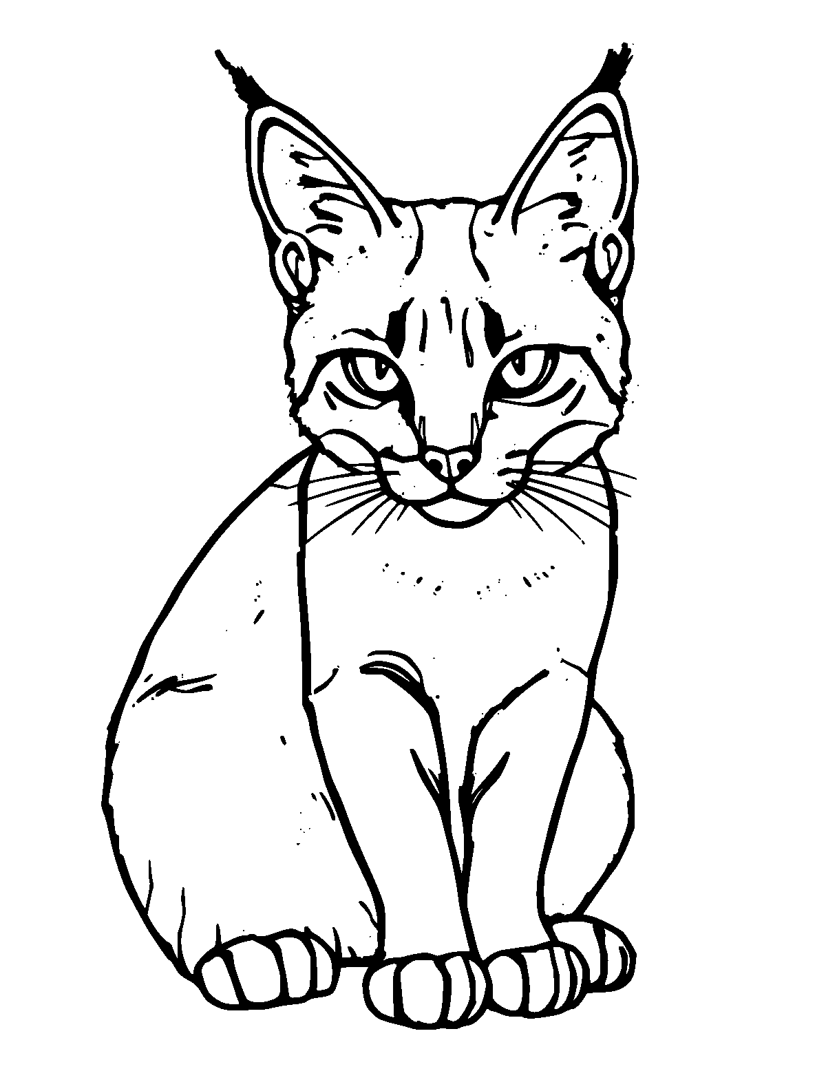 Line-art coloring page of Caracal, medium outlines, centered