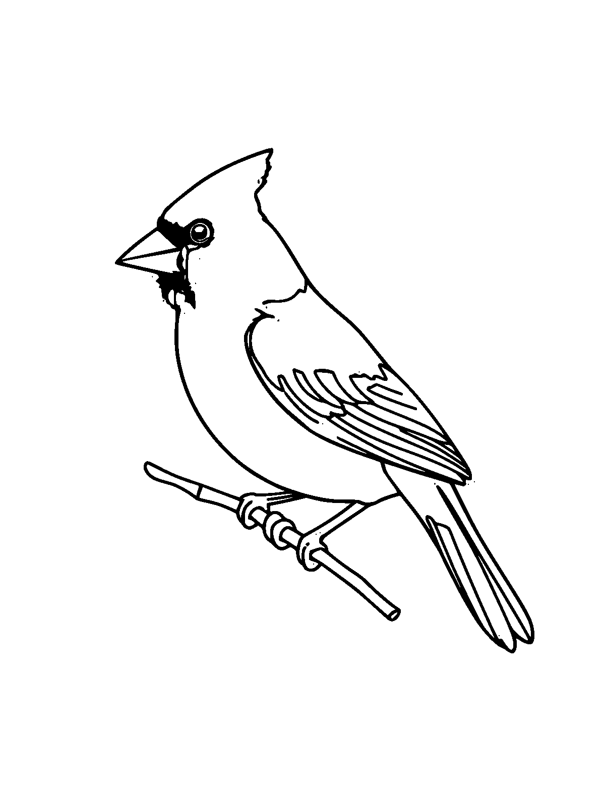 Line-art coloring page of Cardinal, medium outlines, centered