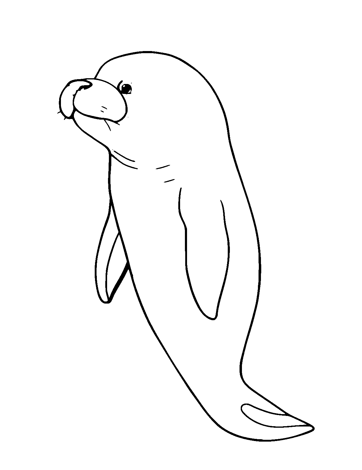 Line-art coloring page of Celtic Selkie, medium outlines, centered