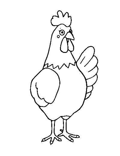 Chicken