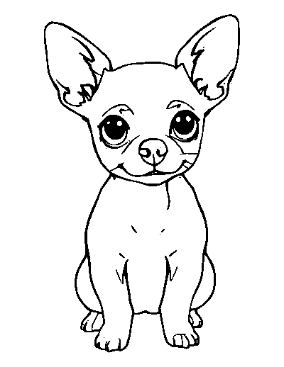 Chihuahua Dog