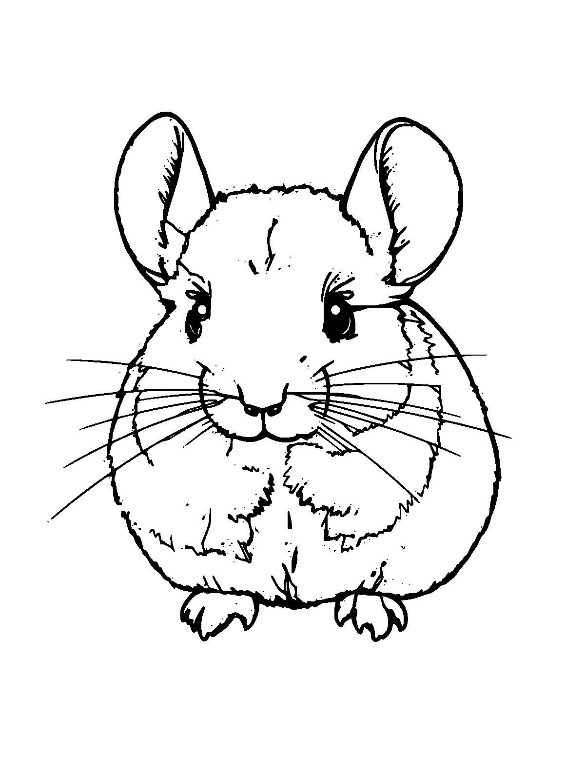 Line-art coloring page of Chinchilla, medium outlines, centered