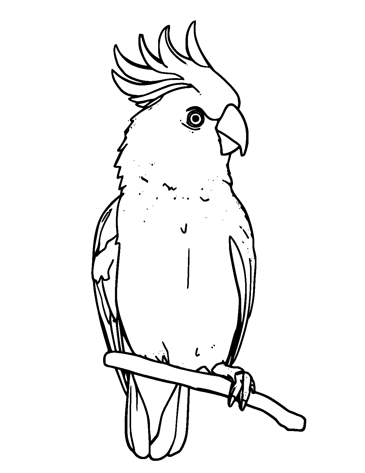 Line-art coloring page of Cockatiel, medium outlines, centered