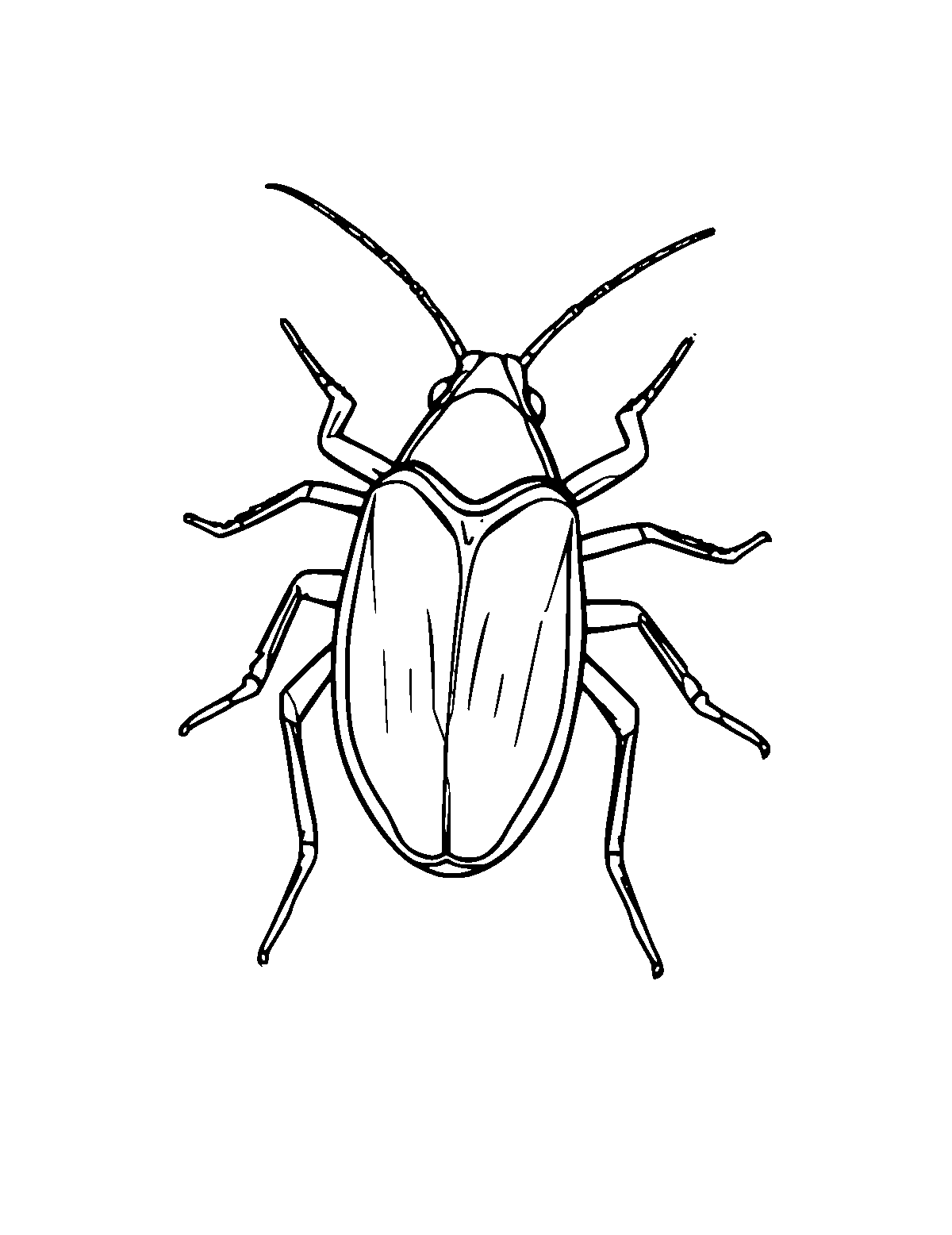 Line-art coloring page of Cockroach, medium outlines, centered