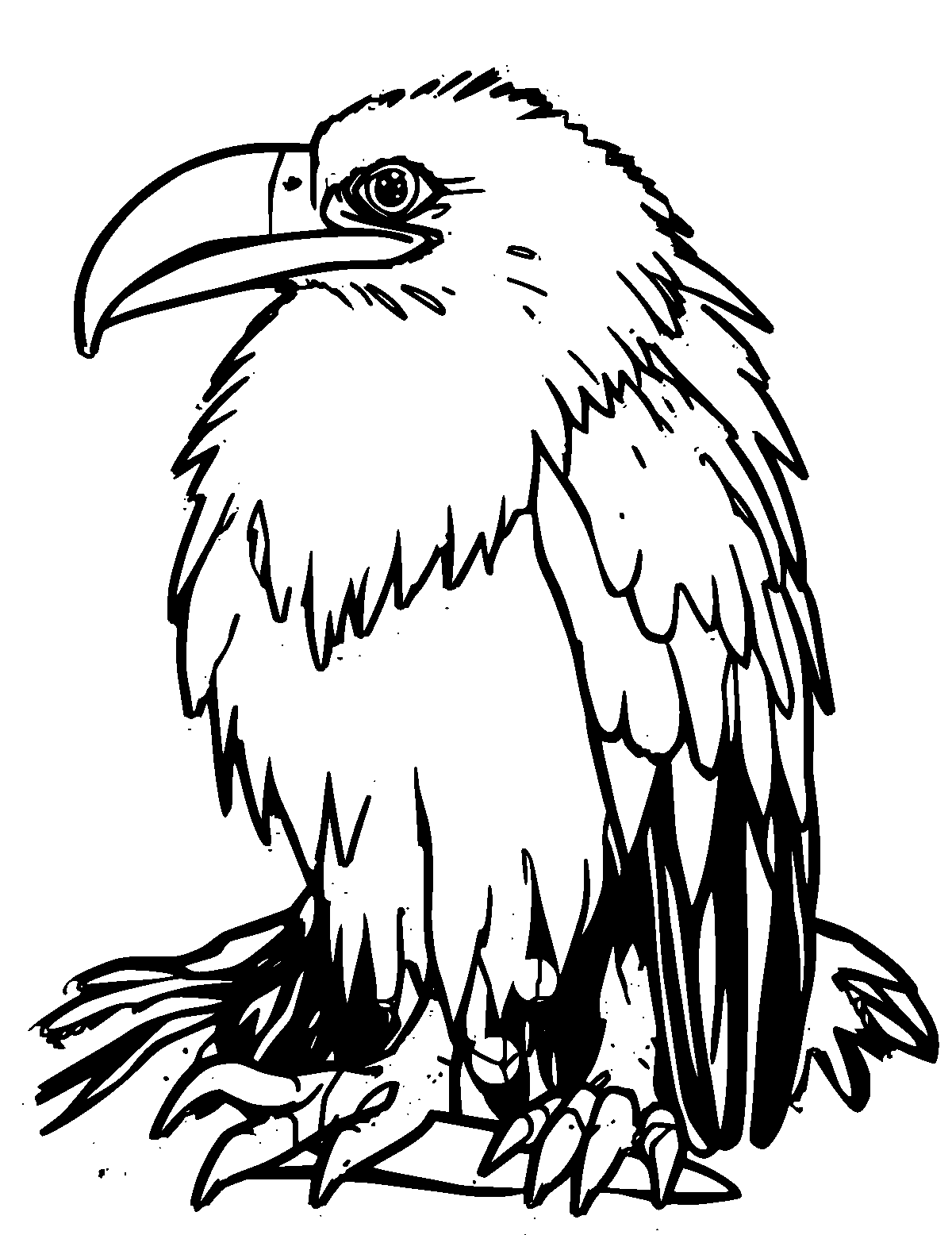 Line-art coloring page of Condor, thick outlines, centered