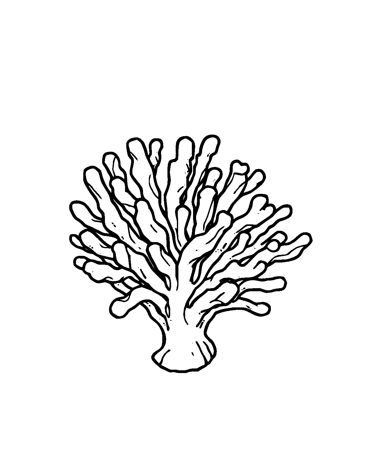 Line-art coloring page of Coral, medium outlines, centered