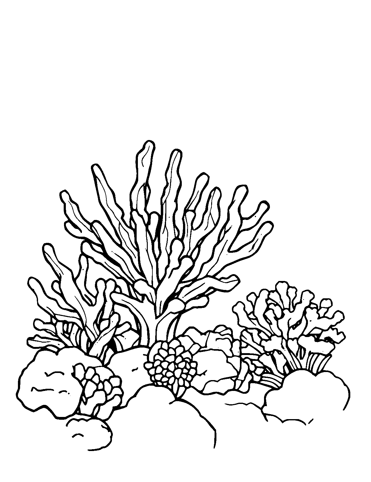 Line-art coloring page of Coral Reef, medium outlines, centered