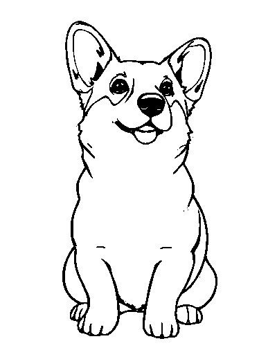 Corgi