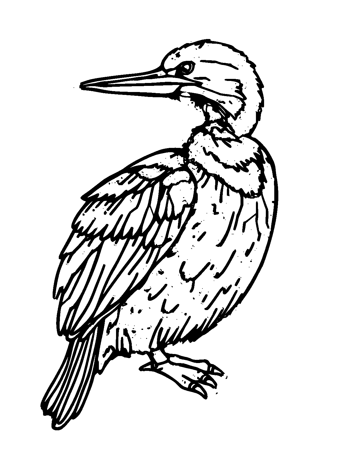 Line-art coloring page of Cormorant, thick outlines, centered