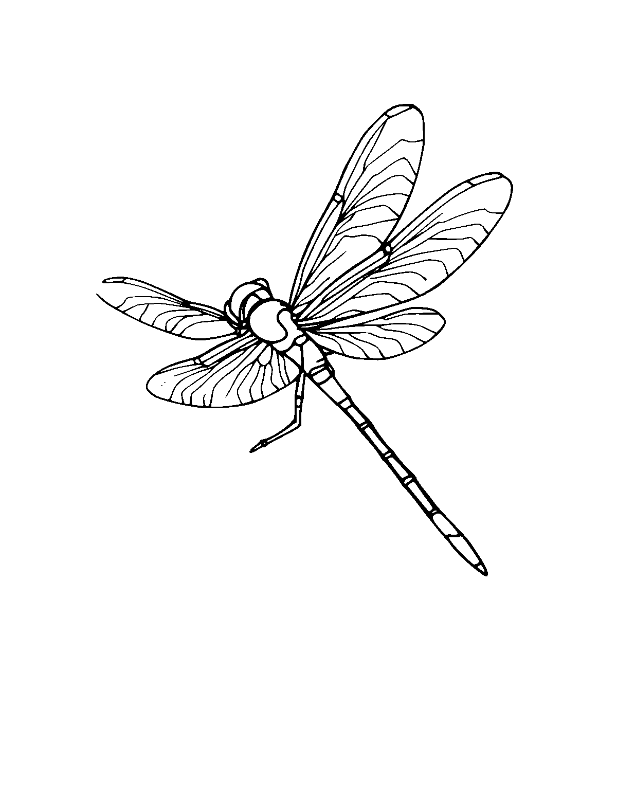 Line-art coloring page of Damselfly, medium outlines, centered