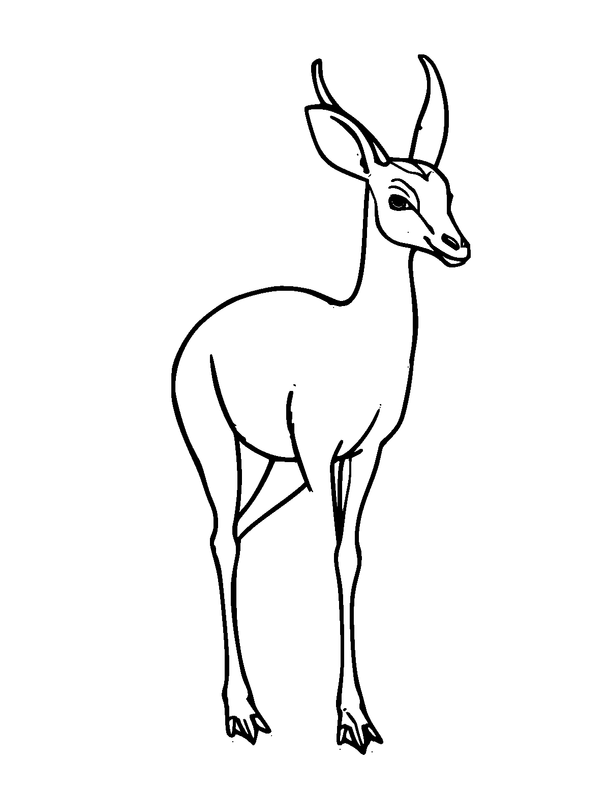 Line-art coloring page of Dik-Dik, medium outlines, centered