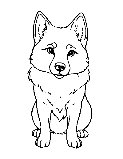 Dingo