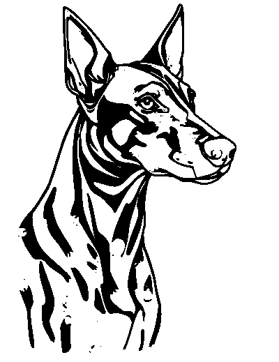 Doberman Pinscher
