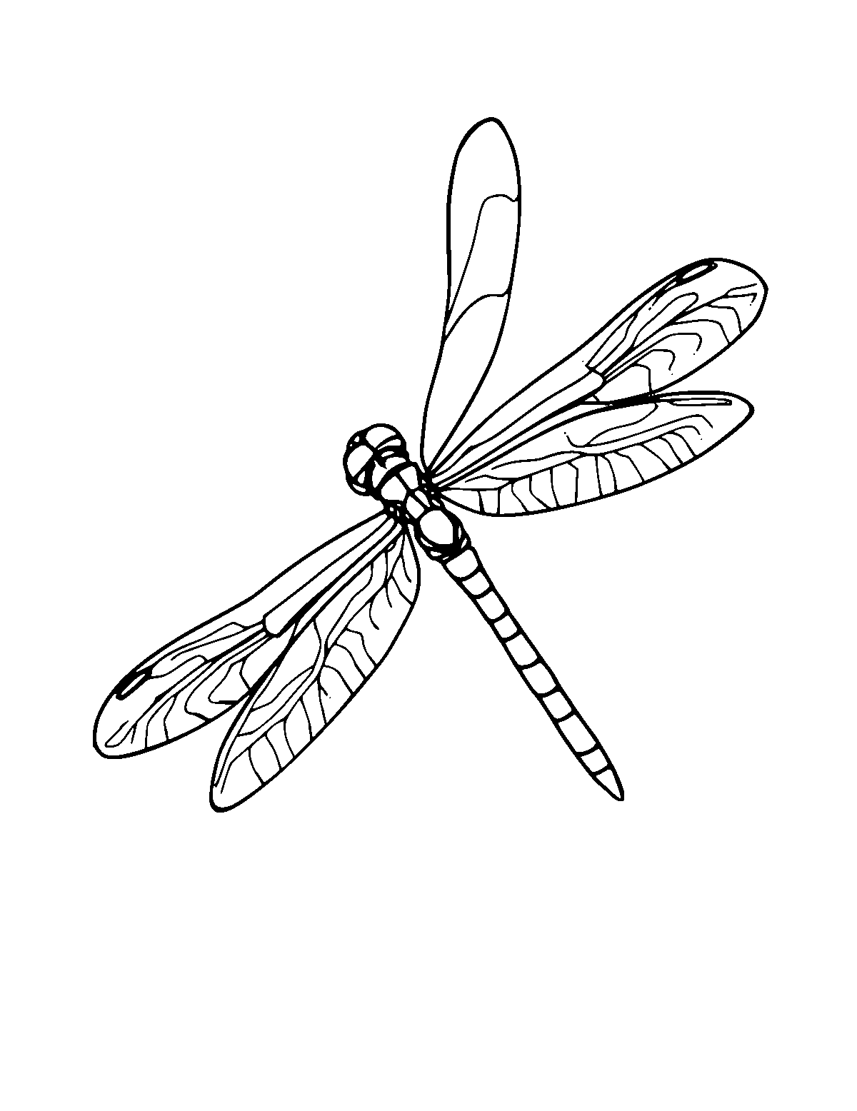 Line-art coloring page of Dragonfly, medium outlines, centered