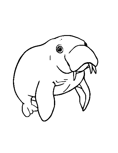 Dugong