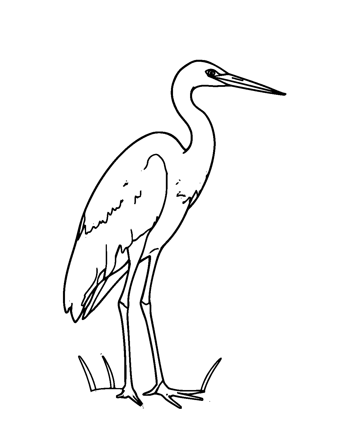 Line-art coloring page of Egret, medium outlines, centered