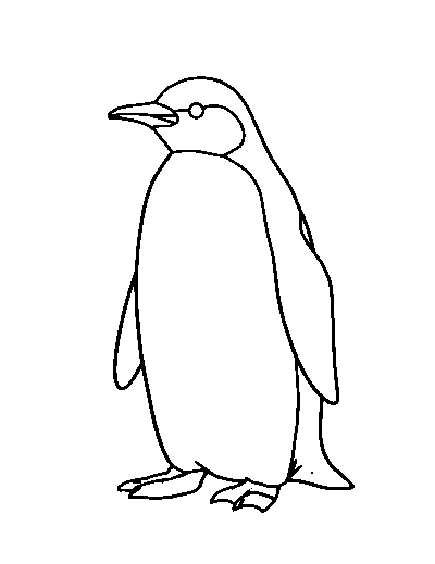 Emperor Penguin