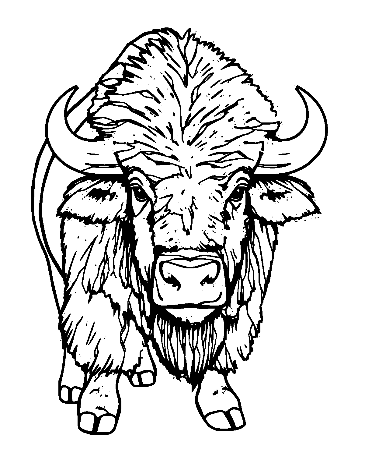 Line-art coloring page of European Bison, medium outlines, centered
